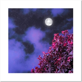 A Beautiful Full Moon Night Posters and Art